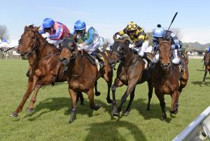 COSTUME - HAWKES BAY 4-10-2014 - RACE IMAGES PHOTO IN