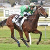 NUCLEAR FUSION - MARTON 8-7-2017 PETER RUBERY RACE IMAGES PHOTO