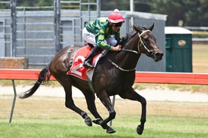 GIFT OF POWER - WELINGTON 8-12-2017 RACE IMAGES PHOTO PETER RUBERY