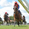 MORE WONDER - MANAWATU 22-12-2018 RACE IMAGES PHOTO PETER RUBERY