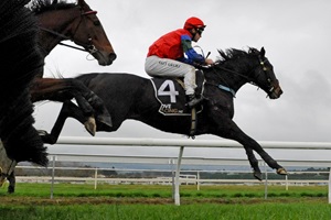 GALLANTE - MANAWATU 15-6-2019 RACE IMAGES PHOTO PETER RUBERY