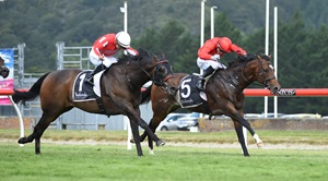 Ferrando Inner - RACEIMAGES PHOTO PETER RUBERY NZ