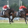 Ferrando Inner - RACEIMAGES PHOTO PETER RUBERY NZ