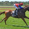 MASCARPONE - OTAKI 26-2-2022 - RACE IMAGES PN PHOTO PETER RUBERY