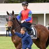SHARP N SMART - Tupo trials 24-8-2022 Race Images
