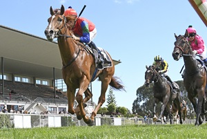 DOMAIN ACE - OTAKI-MAORI 1-4-2024 RACE IMAGES PHOTO PETER RUBERY