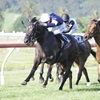 GLAMORGAN-KENTON-WRIGHT-RACE-IMAGES